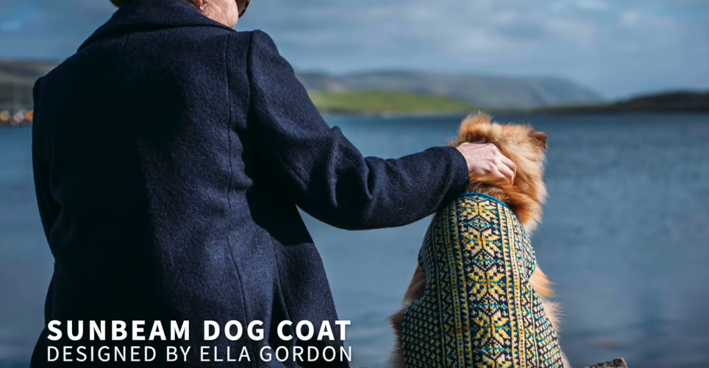 Sunbeam Dog Coat | Ella Gordon